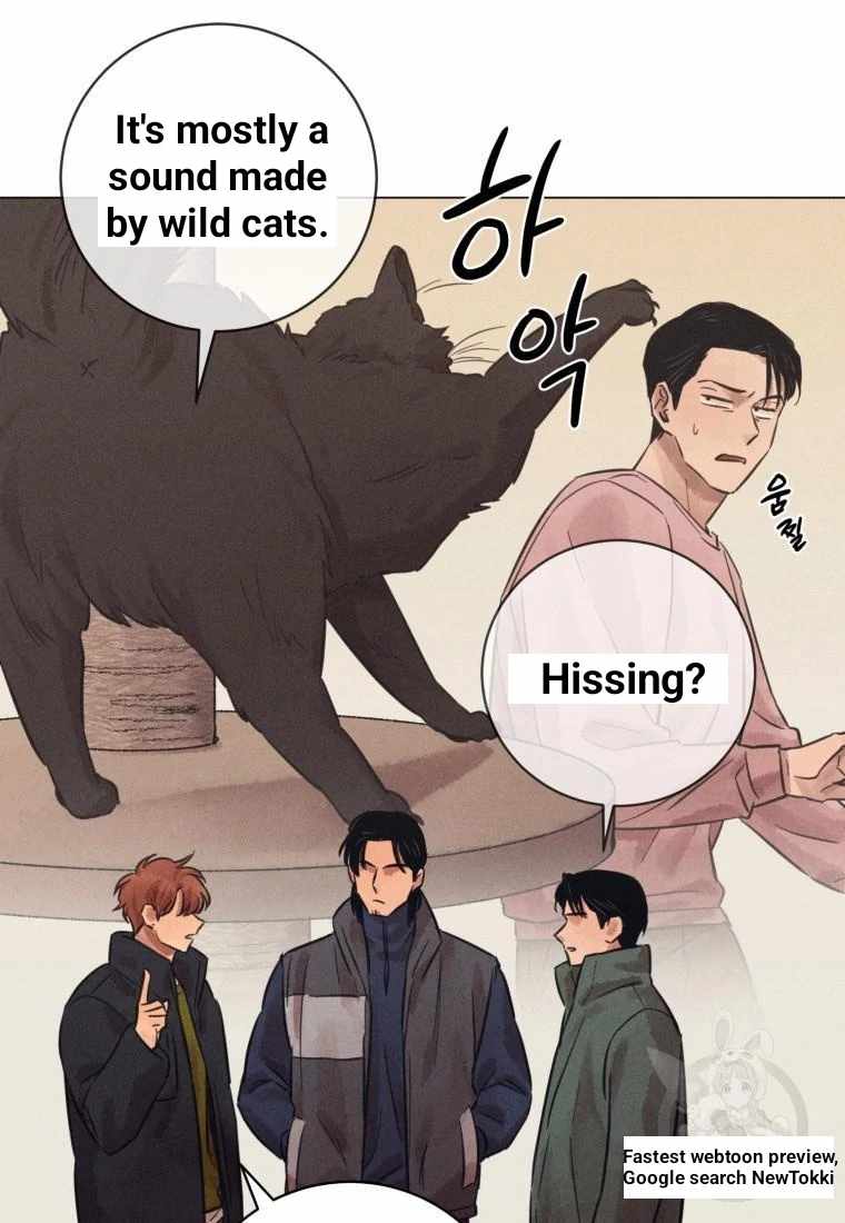 THE KILLER'S INTERVIEW Chapter 41 70